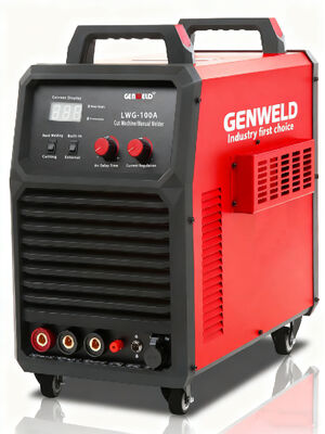 kaufen LWG-100A Built-in air pump plasma Cutting machine online manufacture